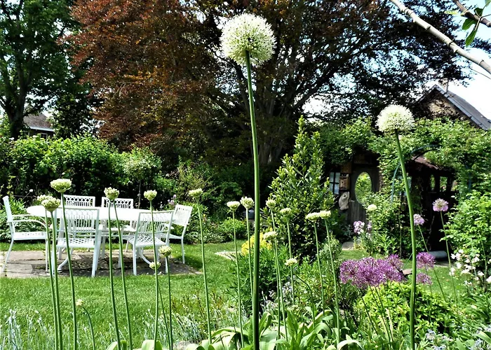 Le Jardin Des Miroirs