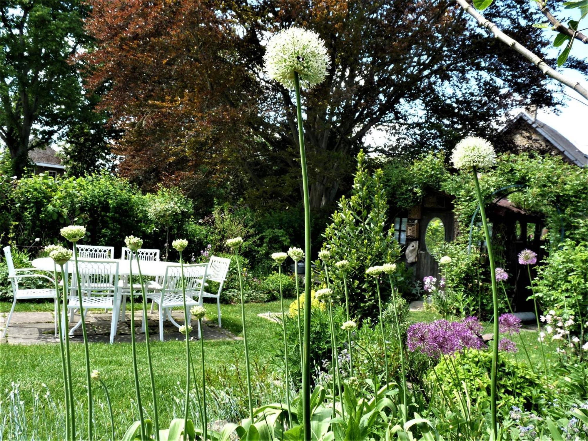 Bed & Breakfast Le Jardin Des Miroirs